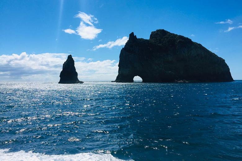Take a trip to the Hole in the Rock in New Zealand | Travel Nation