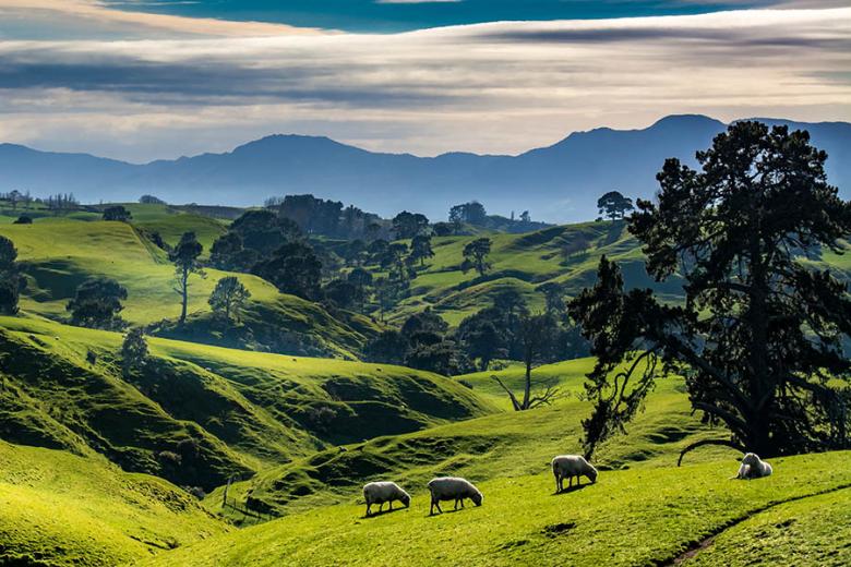 Explore the gorgeous landscapes of New Zealand's North Island | Travel Nation