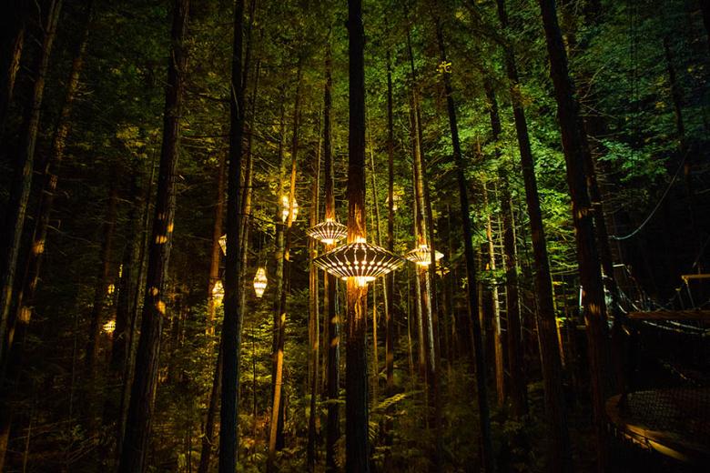 Do the magical Redwoods treewalk at night in New Zealand | Photo credit: Tourism NZ 