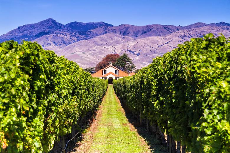 Visit the famous vineyards of Blenheim | Travel Nation