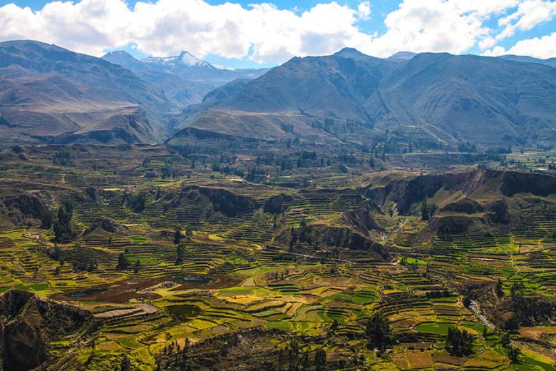 Soak up the scenery surrounding Peru's Colca Canyon | Travel Nation
