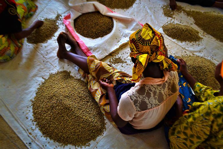 Visit local markets, coffee brewers and producers in Kigali | Travel Nation