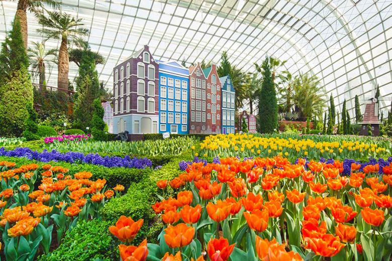 Visit the Flower Dome at the Gardens by the Bay | Photo credit: Gardens by the Bay