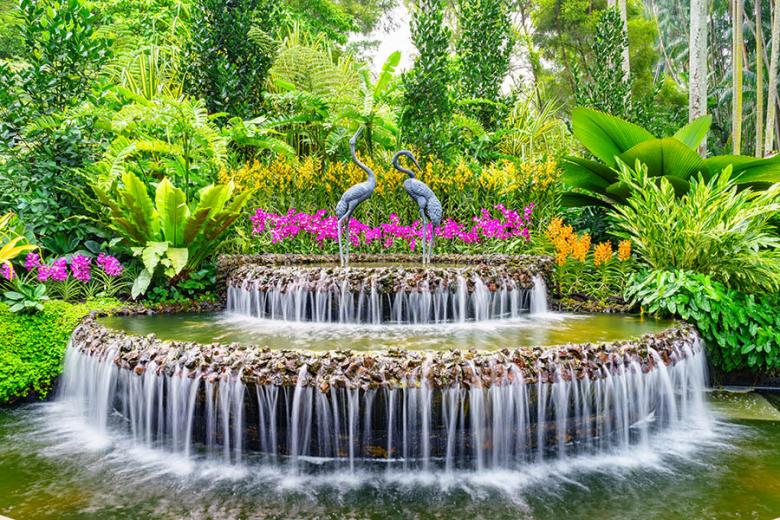 Stroll between the orchids in Singapore's Botanic Gardens | Travel Nation
