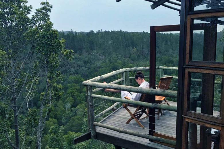 Tsala Treetops Lodge feels a million miles from civilisation