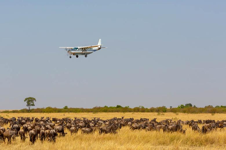 Fly over the Serengeti | Travel Nation