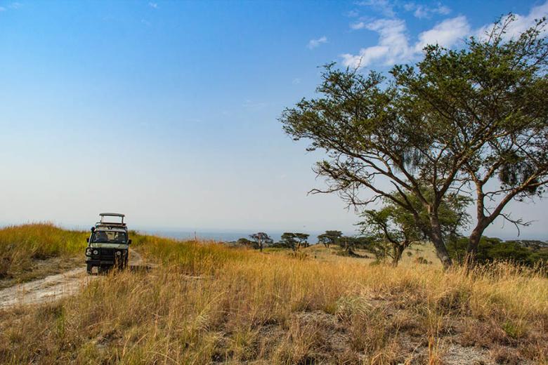 Plan a Uganda safari | Travel Nation