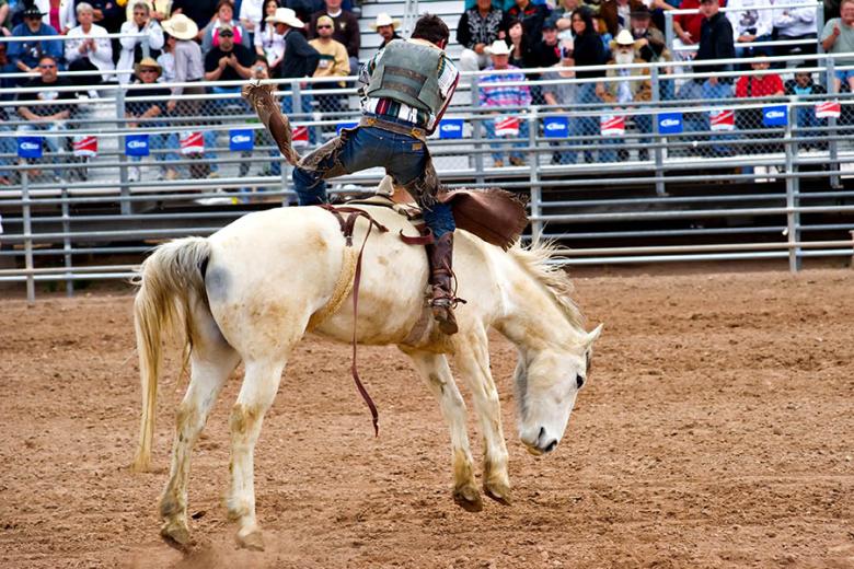See a Wild West rodeo in Arizona | Travel Nation