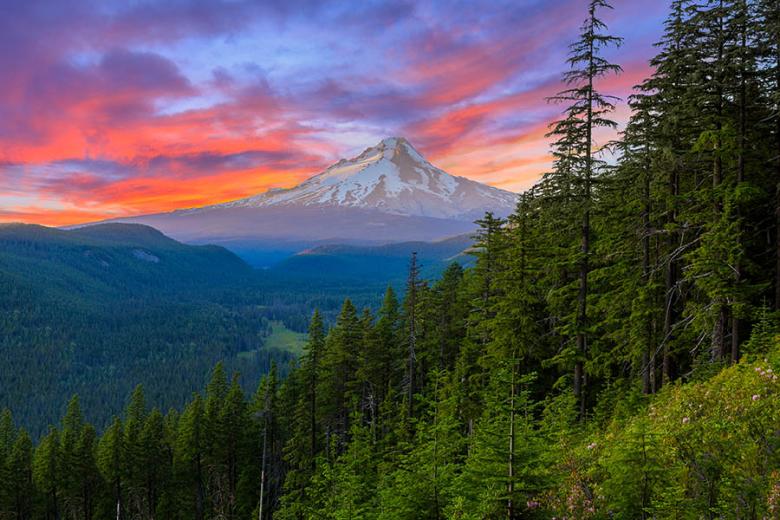 Visit the Pacific Northwest and see beautiful Mt. Hood | Travel Nation