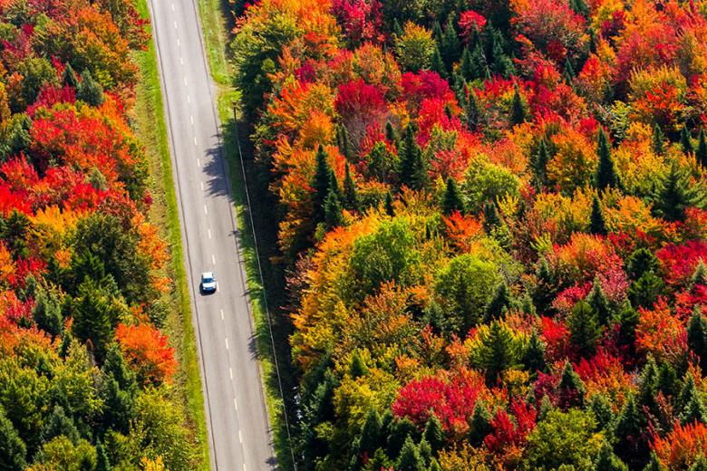 Drive through New England in the autumn | Travel Nation