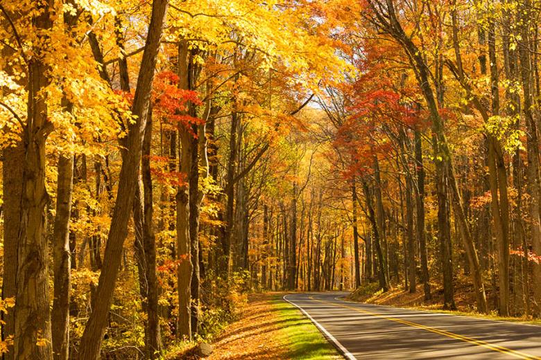 Take an autumn road trip through the Great Smoky Mountains | Travel Nation