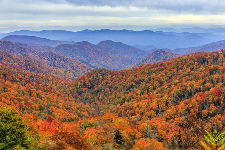 Explore the gorgeous Great Smoky Mountains | Travel Nation