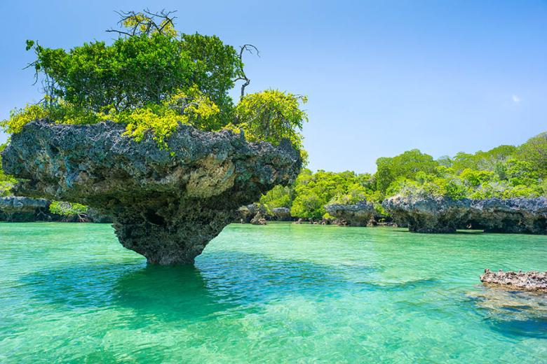 Paddle-board through mangroves on Zanzibar | Travel Nation