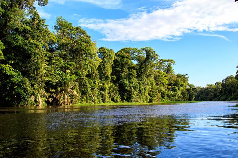 Sail along the rivers in Tortuguero | Travel Nation