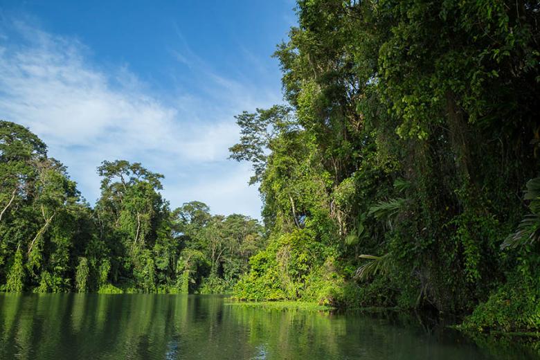 Jungle rivers of Tortuguero in Costa Rica | Travel Nation