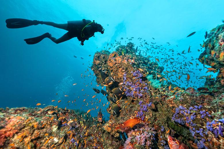 Explore the colourful reefs in the Maldives | Travel Nation