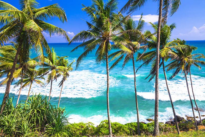 Wander beneath swaying palms on the south coast of Sri Lanka | Travel Nation