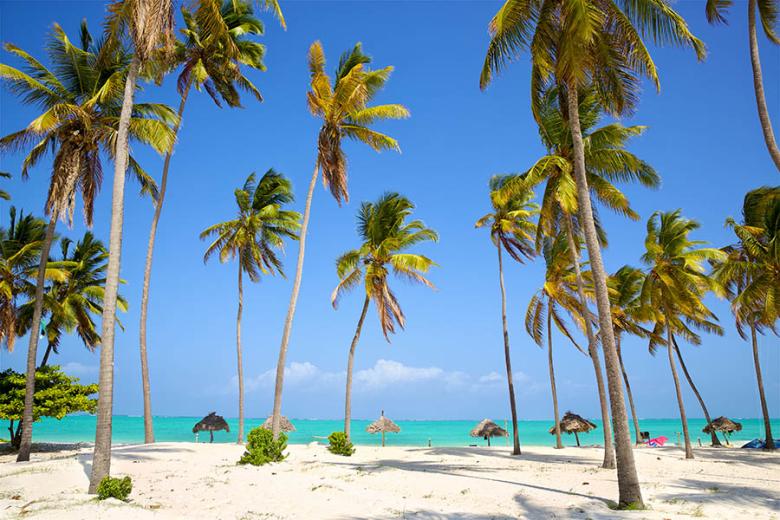 Explore the beautiful island of Zanzibar | Travel Nation