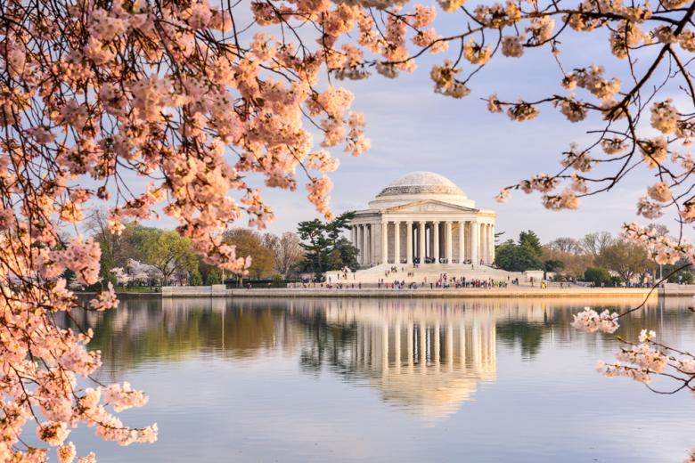 Cherry blossoms at the Tidal Basin and Jefferson Memorial