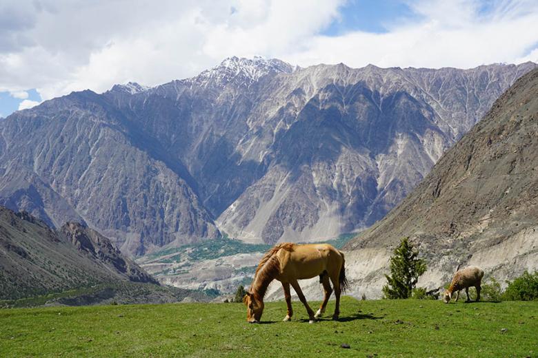 Explore idyllic Fairy Meadows in Pakistan | Travel Nation
