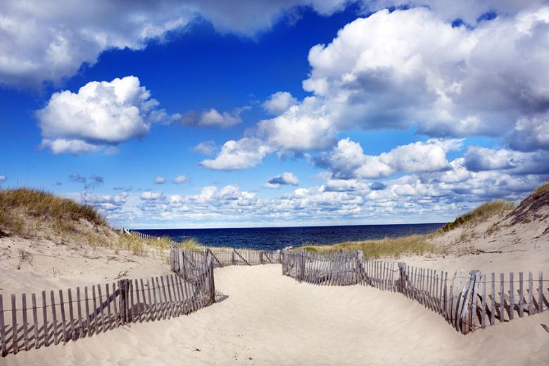 Explore the quiet and peaceful beaches of Cape Cod