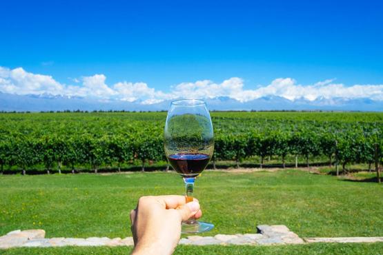 Taste wine in beautiful Mendoza | Travel Nation
