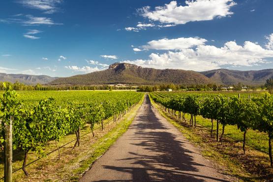 Taste wine in the gorgeous Hunter Valley | Travel Nation