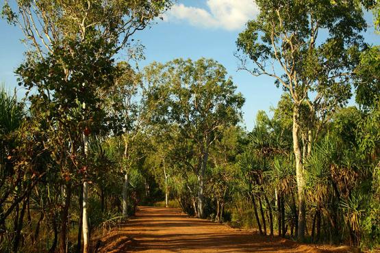Explore the Outback surrounding Darwin | Travel Nation