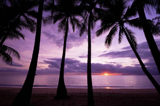 See amazing sunsets in Palm Cove, Australia | Travel Nation