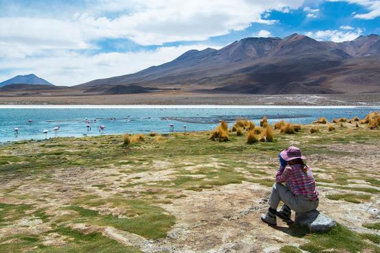 Take extraordinary photos of the Bolivian Altiplano | Travel Nation