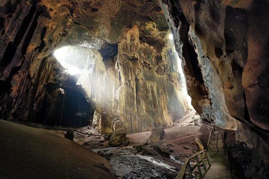 Gomantong Cave is home to millions of bats and swifts