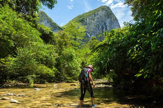 Explore the rugged beauty of Mulu National Park