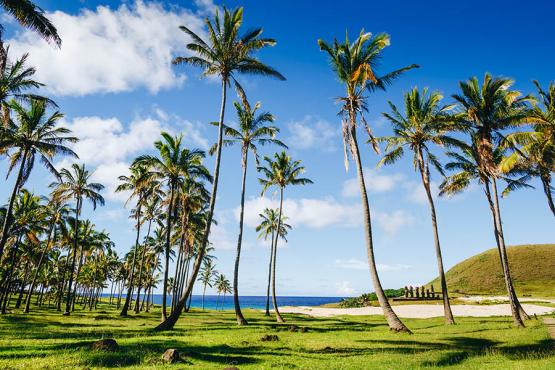 Visit the remote beaches of Easter Island | Travel Nation