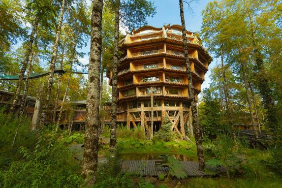 Sleep in a extraordinary wooden lodge in the Huilo Huilo Nature Reserve | Travel Nation