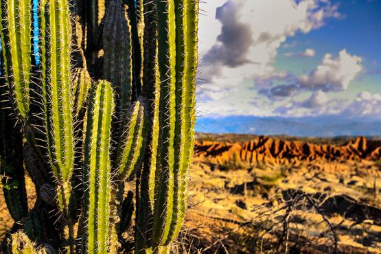 Spend a day exploring the Tatacoa Desert, Colombia | Travel Nation