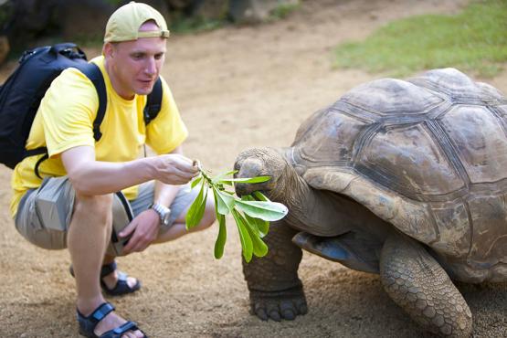 Get up close to the giant tortoises of the Galapagos Islands