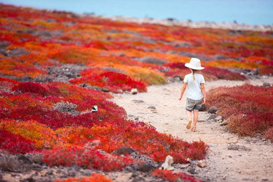 Discover the scenery of the Galapagos Islands with your family | Travel Nation