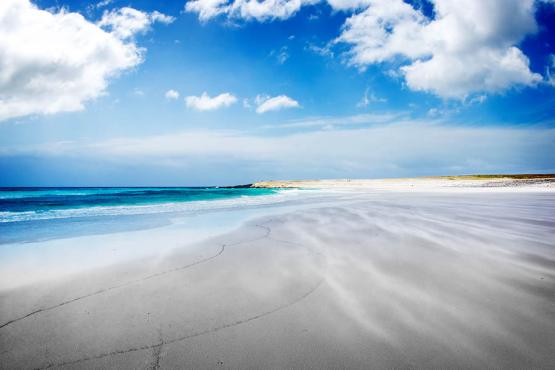 Explore castaway beaches on the Falkland Islands | Travel Nation