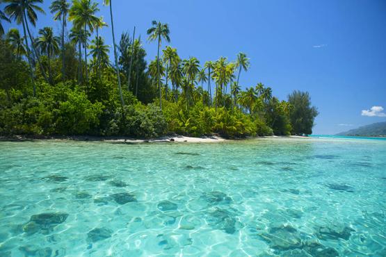 900x600-french-polynesia-moorea-beach-lagoon-credit-tahiti-tourisme