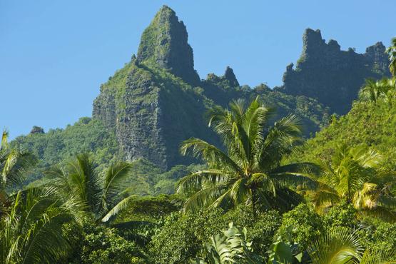 Explore the lush green interior of Moorea | Photo credit: Tahiti Tourisme