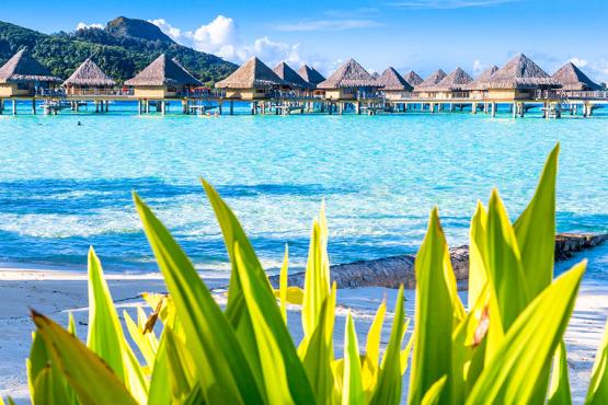 Soak up the endless scenery in French Polynesia | Travel Nation