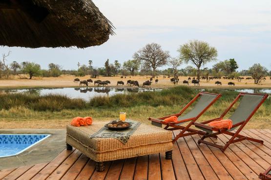 Relax on your deck at Bomani Lodge | Credit: Imvelo Lodges