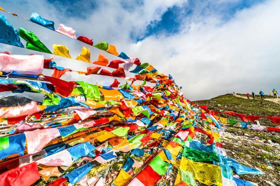 Explore Dharamsala, the spiritual home of the Dalai Lama | Travel Nation