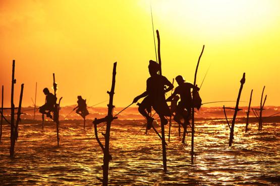 Local fishermen in action at sunset, Sri Lanka