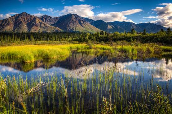 Soak up the scenery of Denali National Park | Travel Nation