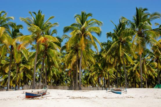 Beaches of Mozambique