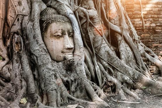 Explore the ancient temples and statues in Ayutthaya | Travel Nation