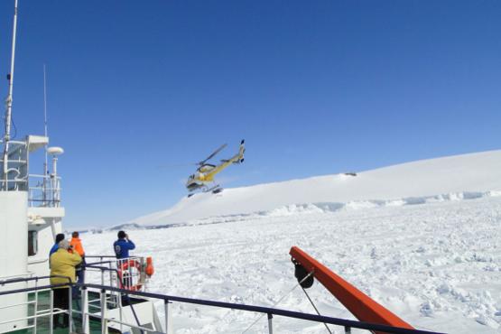 Use helicopters to help find individual Emperor penguins