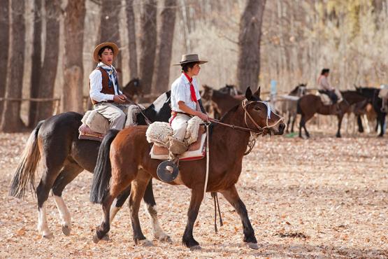 Experience life as a Gaucho in the beautiful Pampas