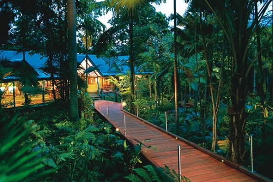 Silky Oaks Lodge - forest walkway